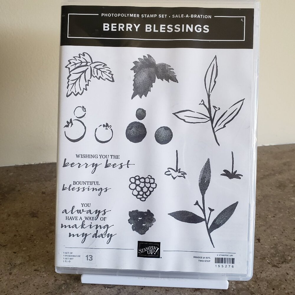 Stampin' Up! 'BERRY BLESSINGS' Photopolymer Stamp Set (Used)